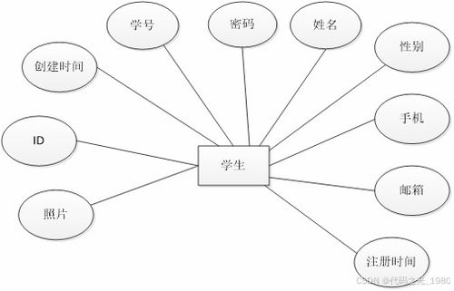 springboot校园资料分享平台 设计与实现