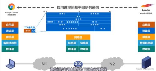 计算机网络体系结构